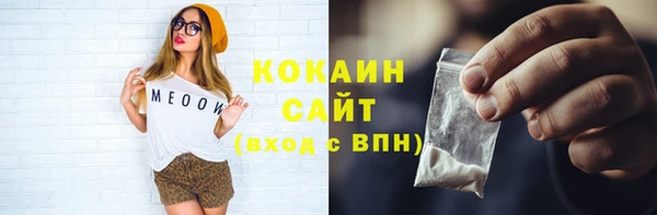 apvp Бородино