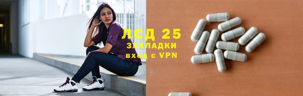 apvp Бородино