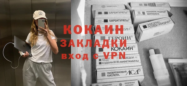 apvp Бородино