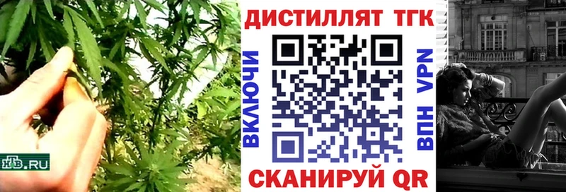 Купить где  Кологрив  Дистиллят ТГК гашишное масло 