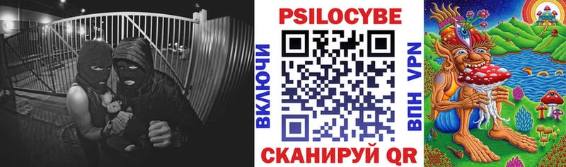 Купить где  Кологрив  Галлюциногенные грибы MAGIC MUSHROOMS 